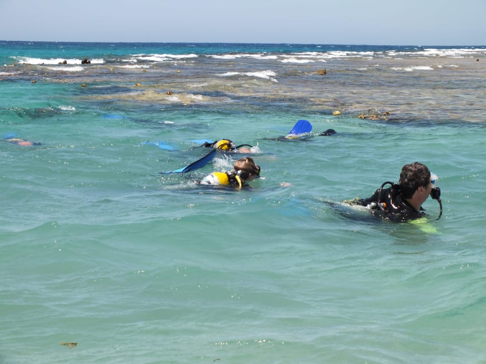 "Nie gadamy,nurkujemy..." Baza na plaży. Malikia Resort Abu Dabbab