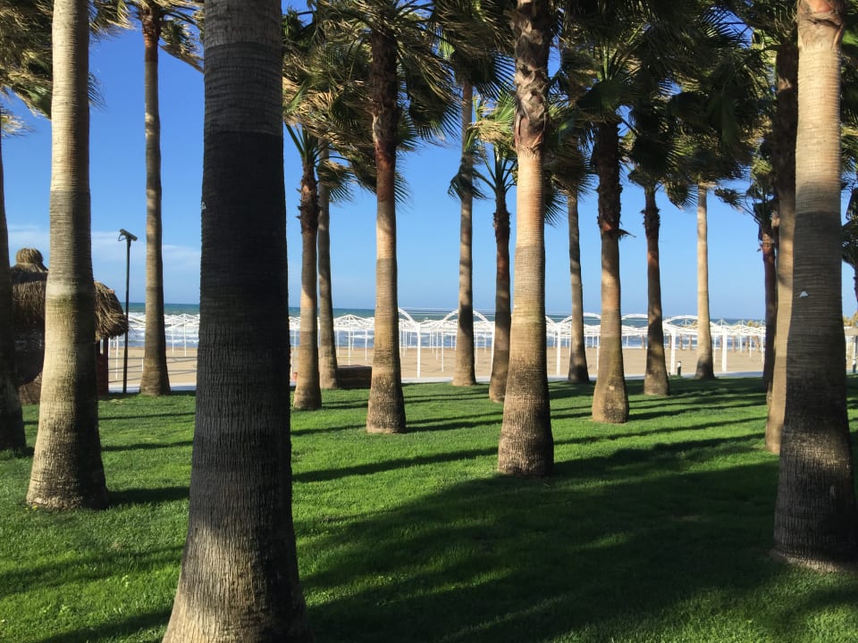 Gartenanlage Hotel Miramare Beach