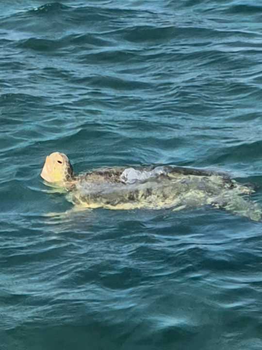 Sport & Freizeit Sentido Caribbean World Soma Bay