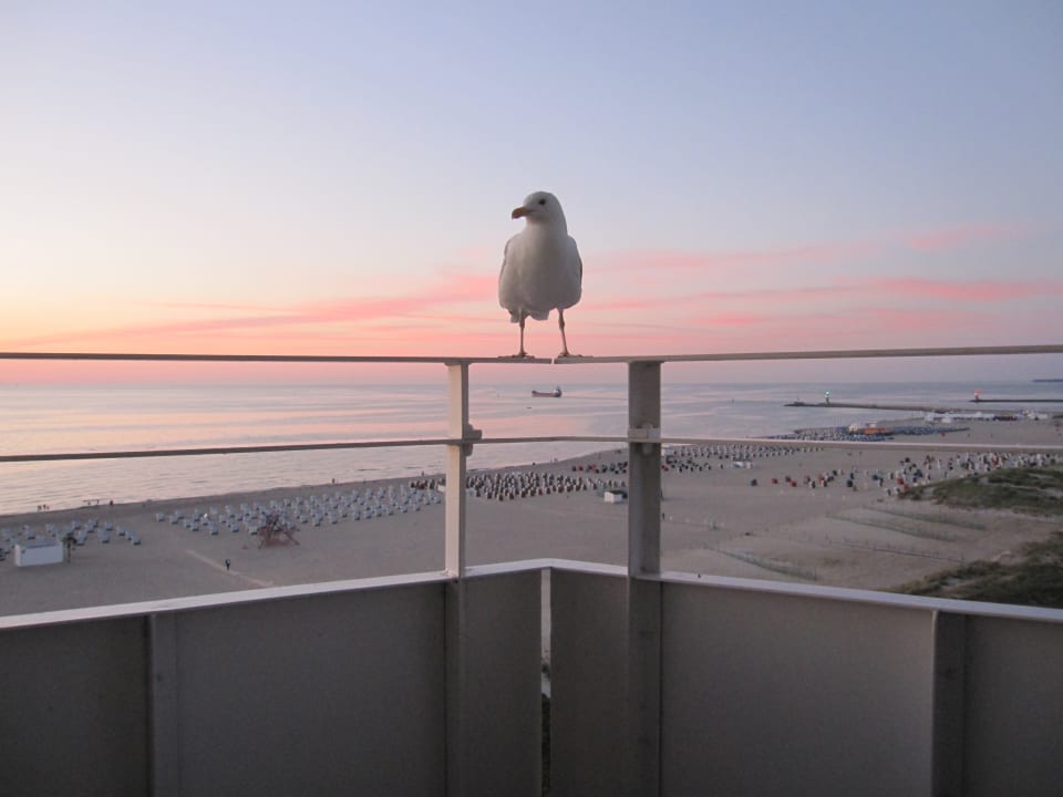 Ausblick Hotel Neptun