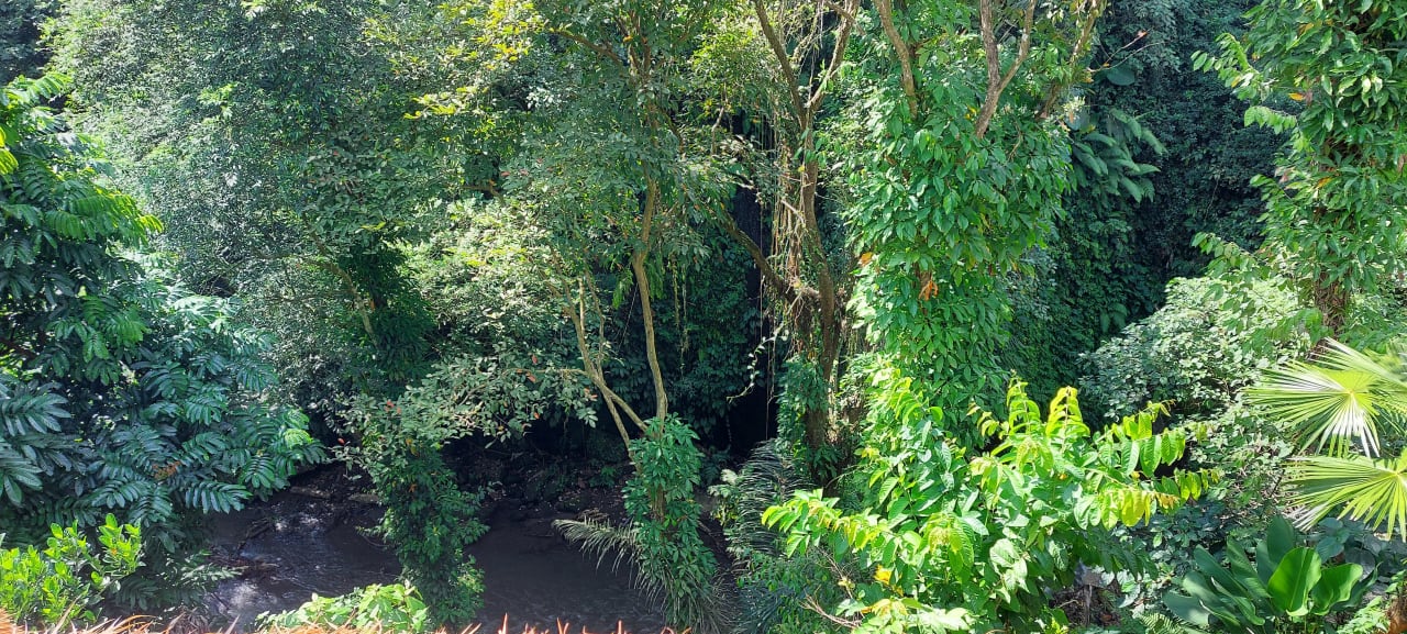 Ausblick Hotel Tjampuhan