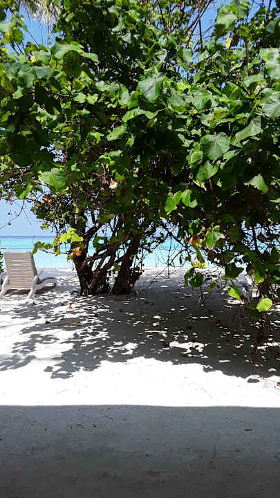 Ohne Bildtitel Summer Island Maldives
