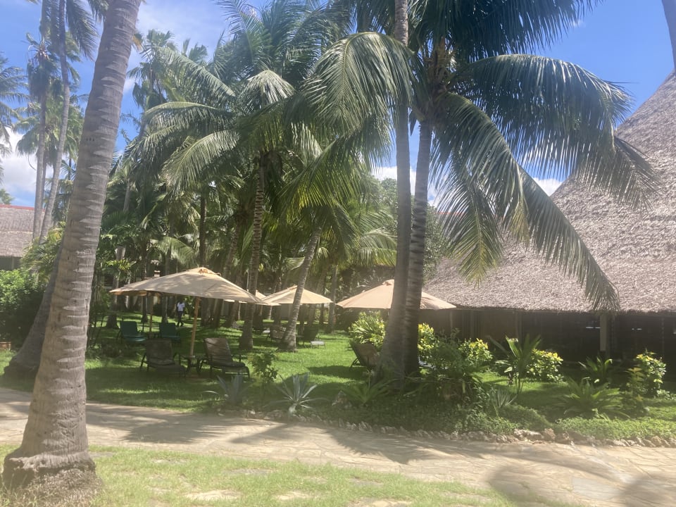Gartenanlage Bahari Beach Hotel