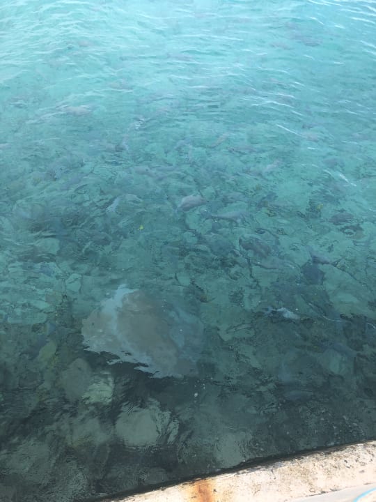 Sport & Freizeit Summer Island Maldives