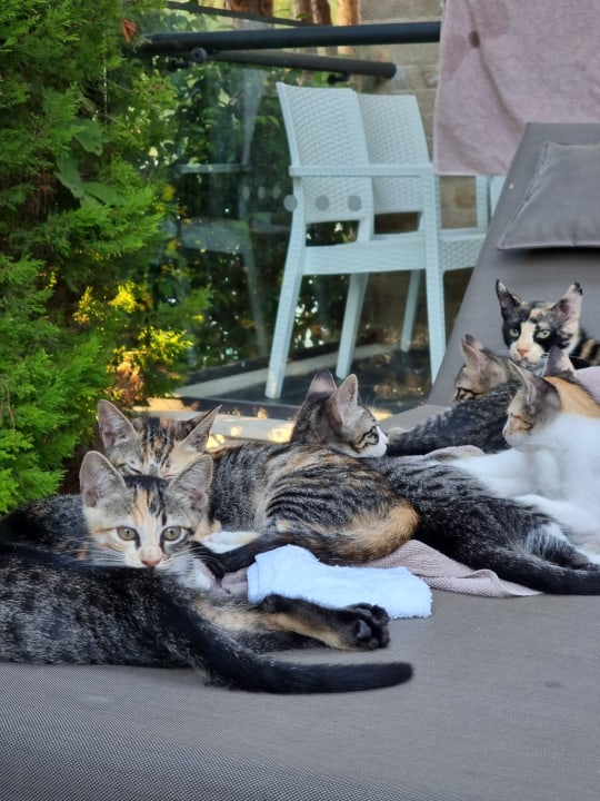 Sonstiges Voyage Belek Golf & Spa