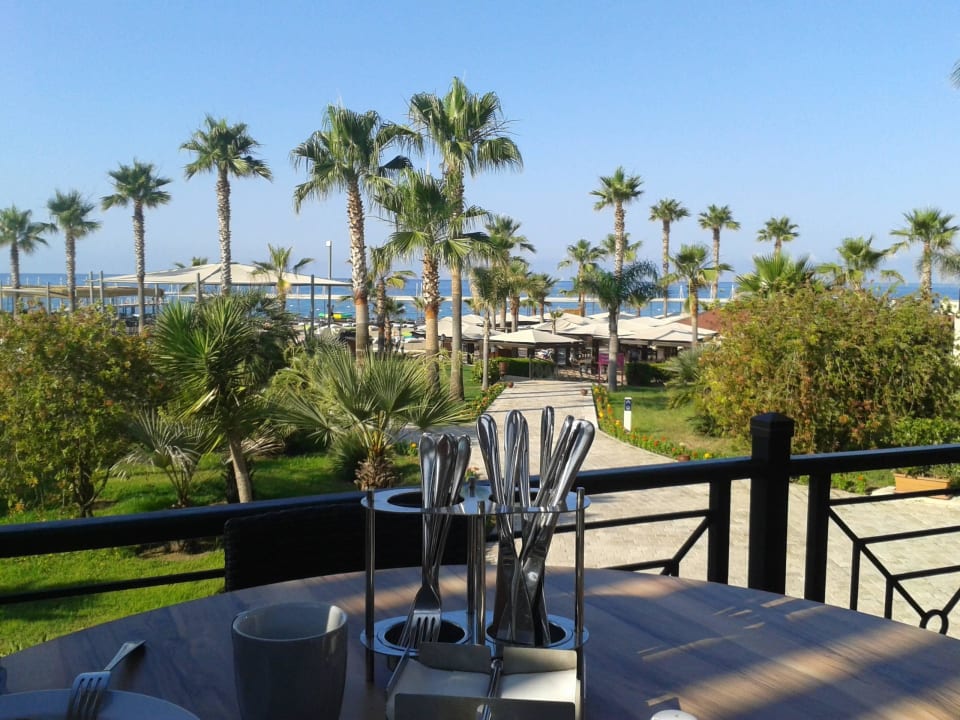 Toller Ausblick beim Frühstück TUI BLUE Palm Garden