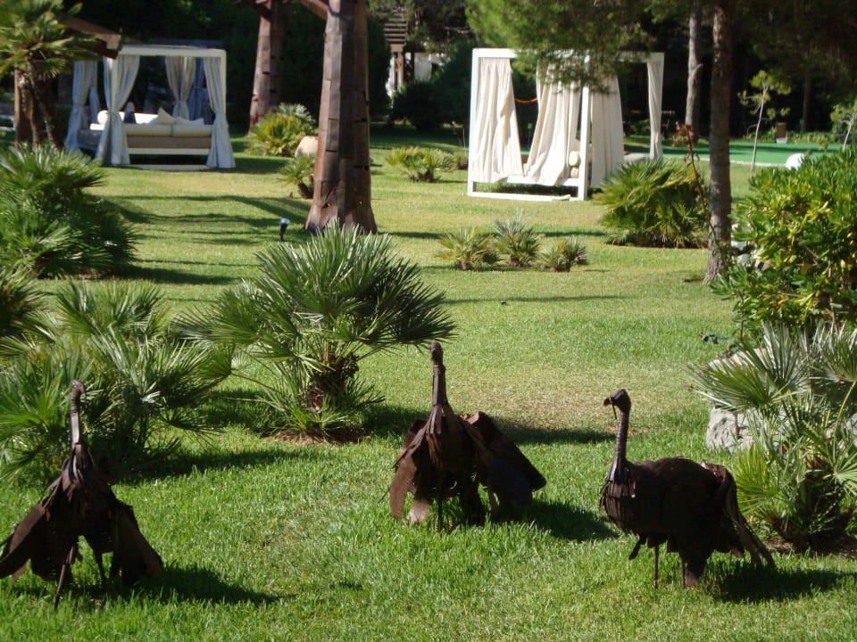 Gartenanlage VIVA Cala Mesquida Suites & Spa 16+