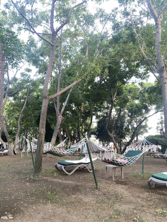 Gartenanlage Belconti Resort Hotel
