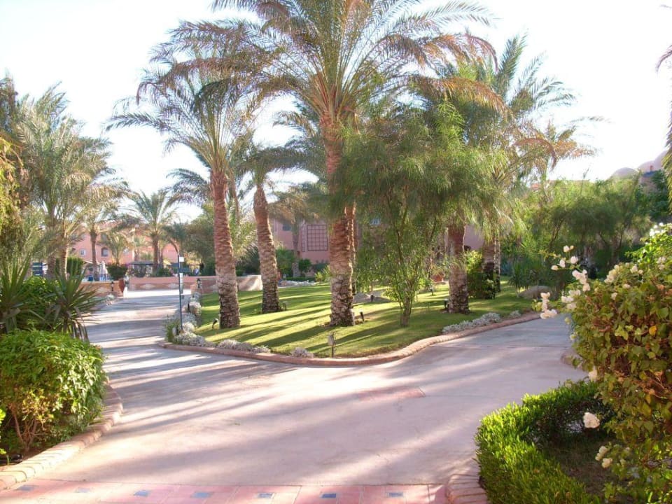 Garten Jaz Makadi Oasis Resort