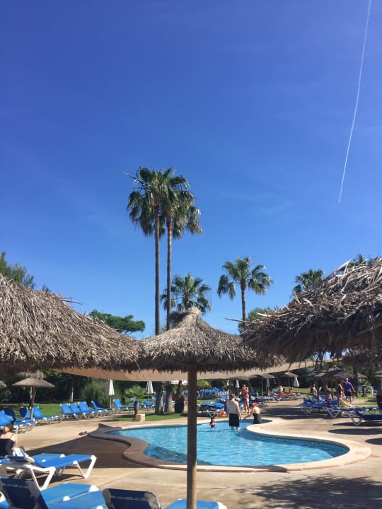 Pool Garbí Cala Millor