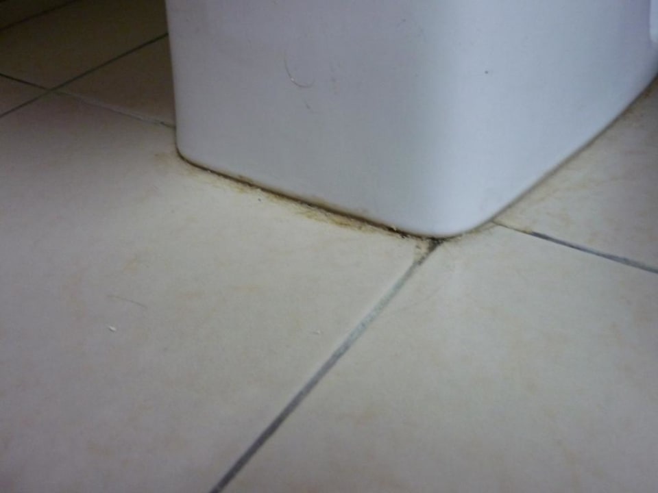 Bad Cinnamon Hakuraa Huraa Maldives