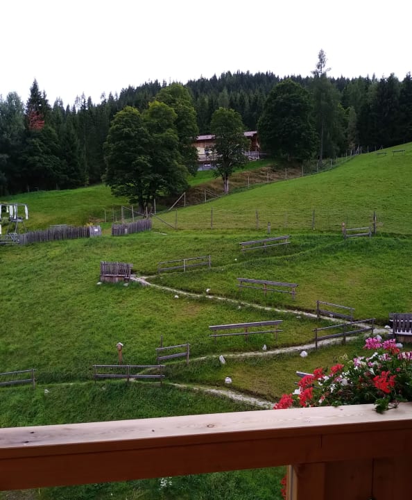 Ausblick Natur & Wellnesshotel Höflehner