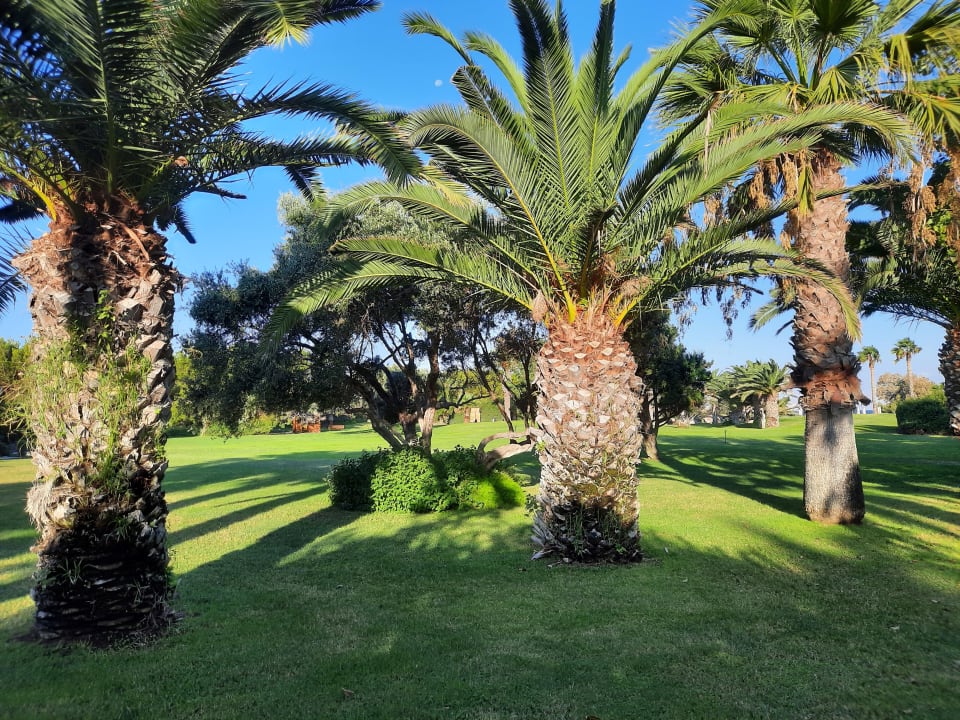 Gartenanlage Caravia Beach Hotel