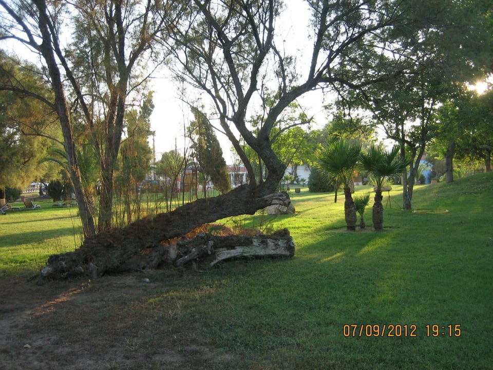 Сад Domes Aulūs Zante, Autograph Collection