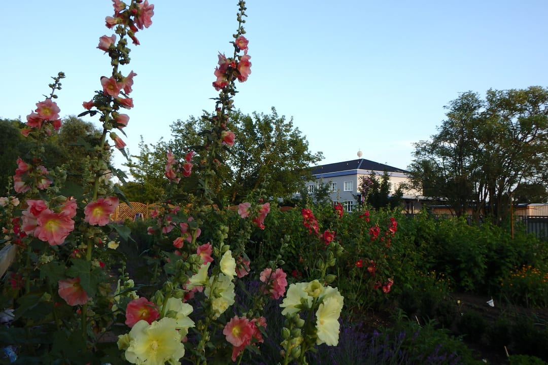 "Blühende Gärten" Hotel Lavendelhof & Eselhof Nauen (Nauen