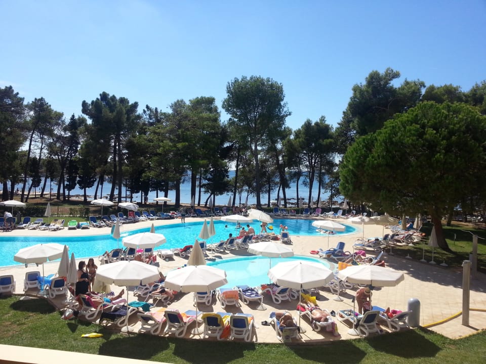 Poolblick vom Zimmer Hotel Aurora Plava Laguna