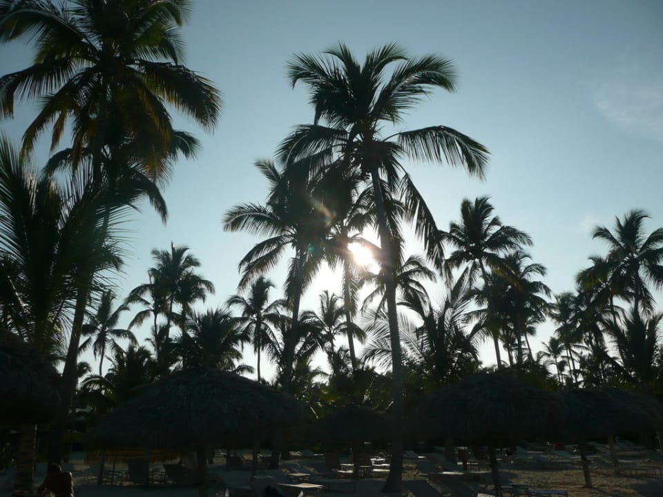 Nachmittag am Strand Catalonia Royal Bavaro - Adults only