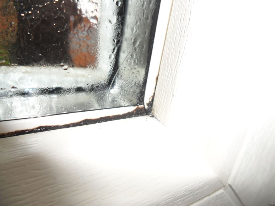 "Schimmel am Fenster (Bad Terrassensuite)" Hotel Sunnwies