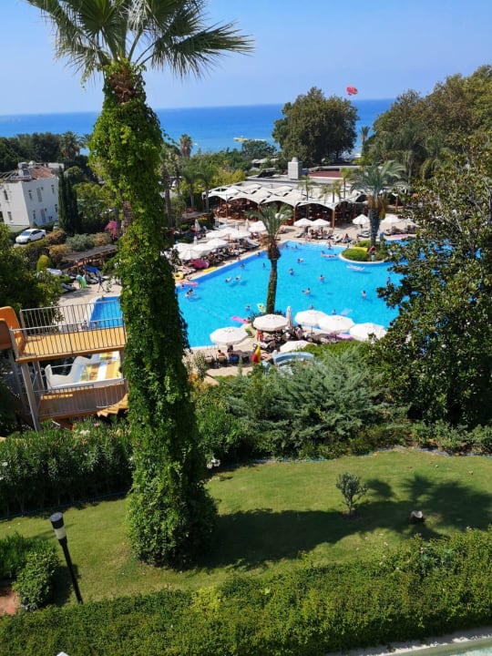 Pool Side Star Elegance