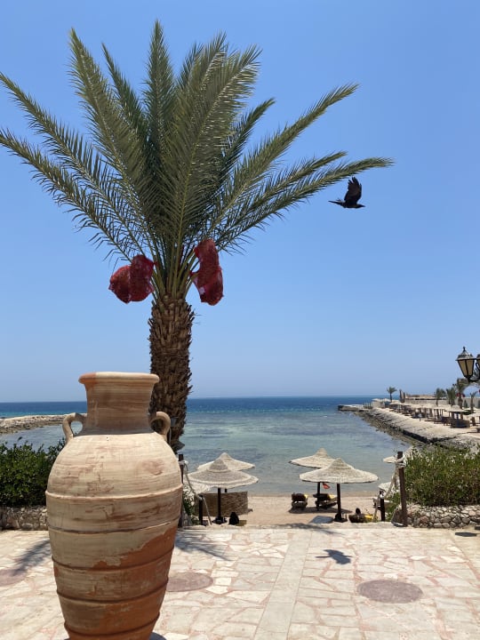 Strand Royal Star Beach Resort