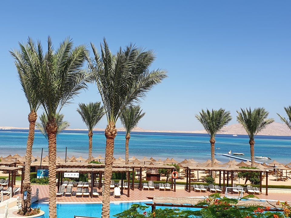 "Ausblick " Jaz Belvedere Resort (Shark Bay) • HolidayCheck (Sharm el