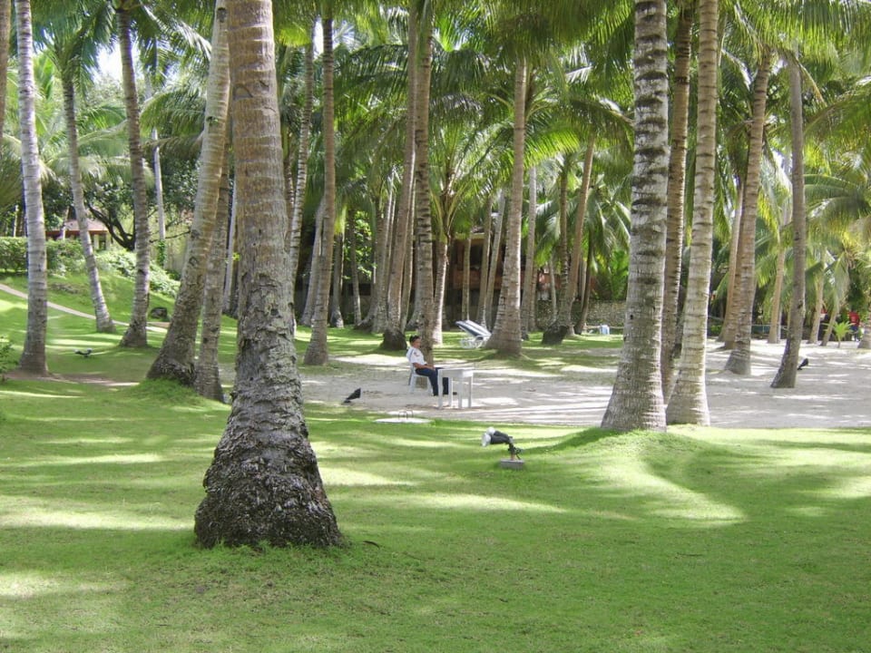 Top Hotelstrand Henann Resort