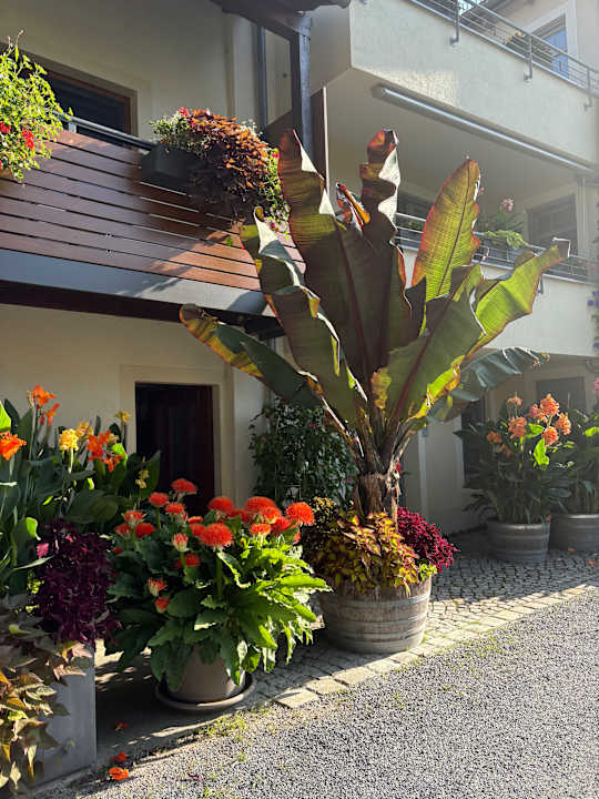 Gartenanlage Hotel garni Sonnenhof
