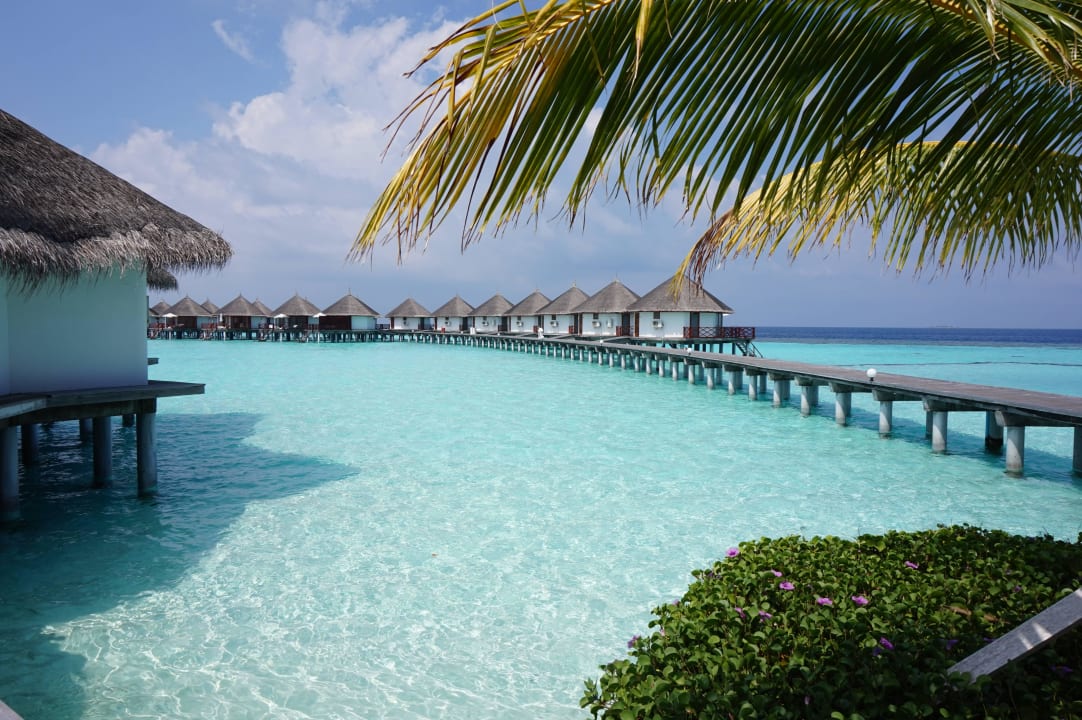 Blick auf die Wasserbungalows Safari Island Maldives