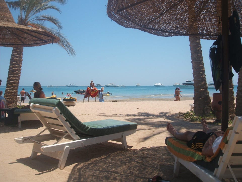 Eine Liege ist immer frei  Giftun Azur Resort