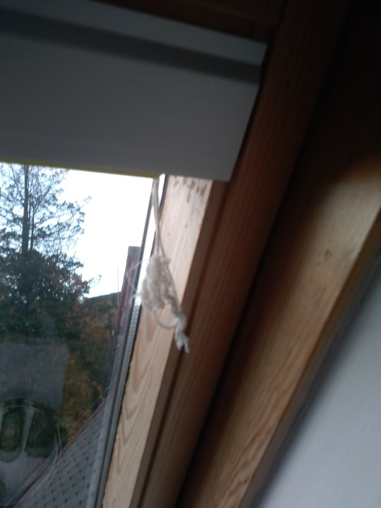 Ausblick Kurhaus Kaja