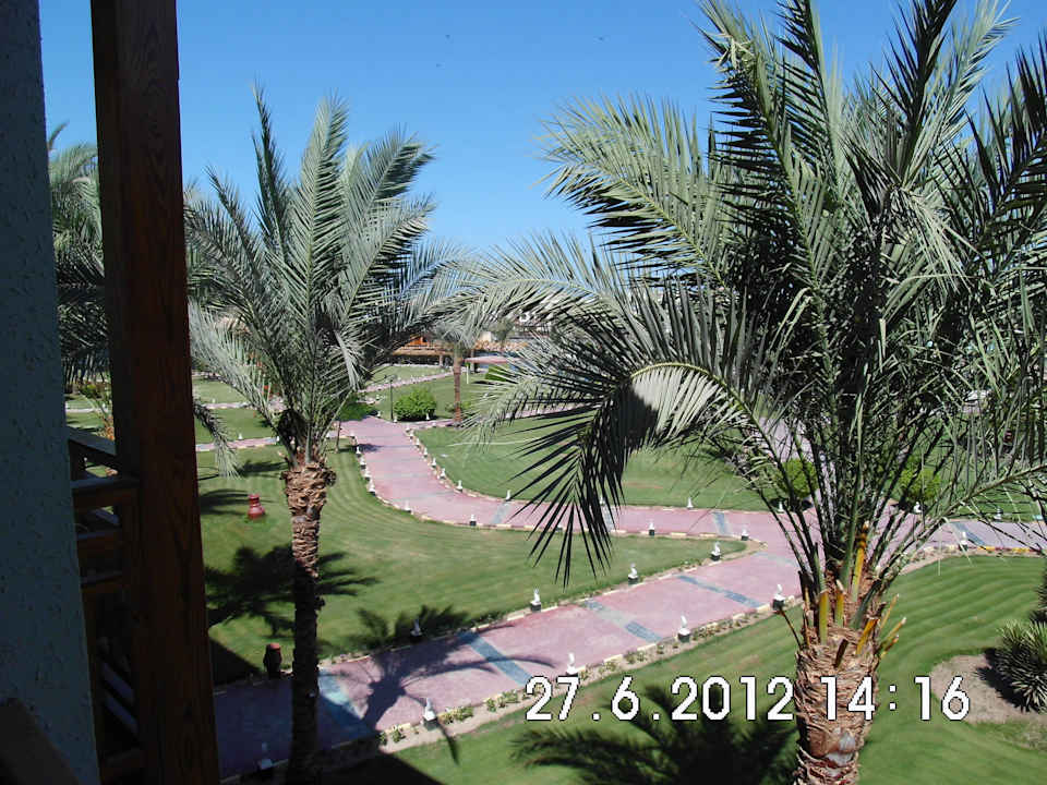 Ausblick in den Garten Pickalbatros Dana Beach Resort - Hurghada
