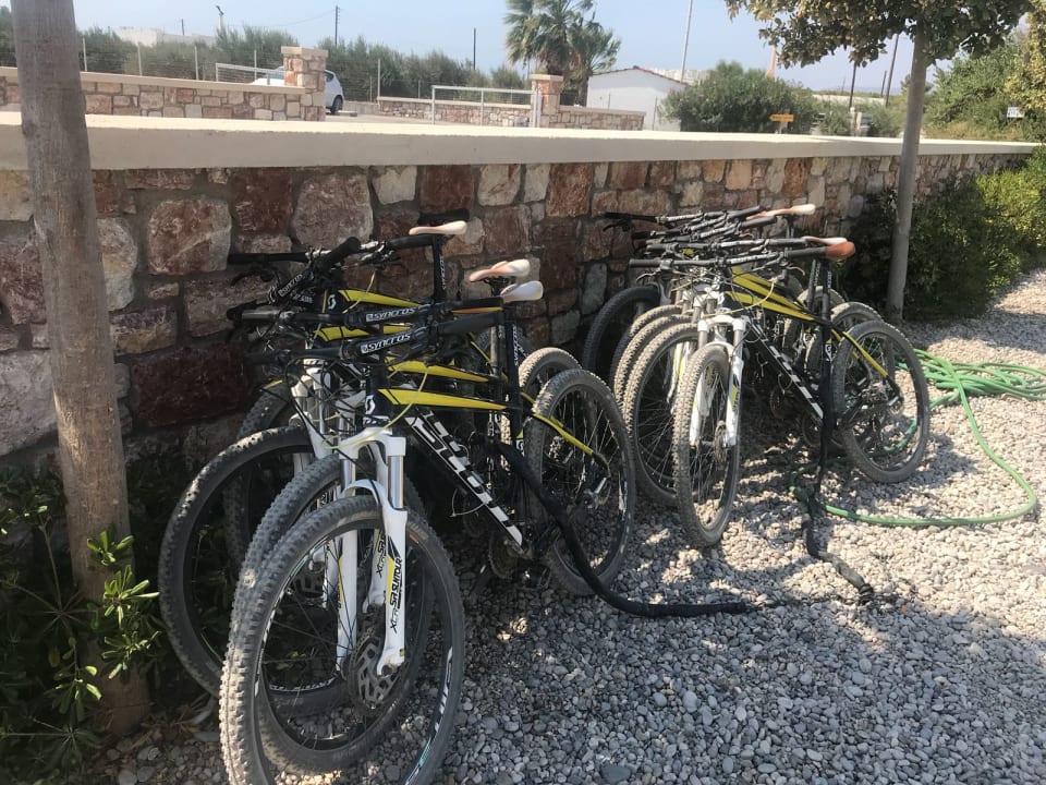 Sport & Freizeit Atlantica Plimmiri