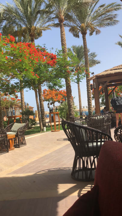 Gastro Grand Waterworld Makadi & Family Star Makadi