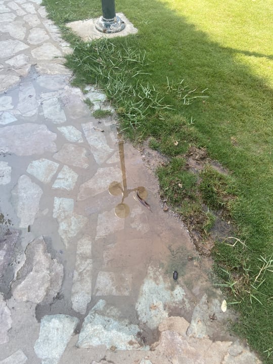 Gartenanlage TUI SUNEO Chrissi Amoudia