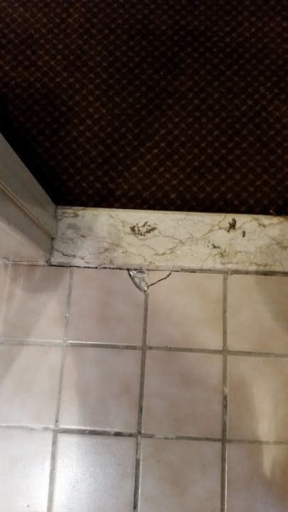 Zimmer Days Inn by Wyndham Hotel New York City-Broadway