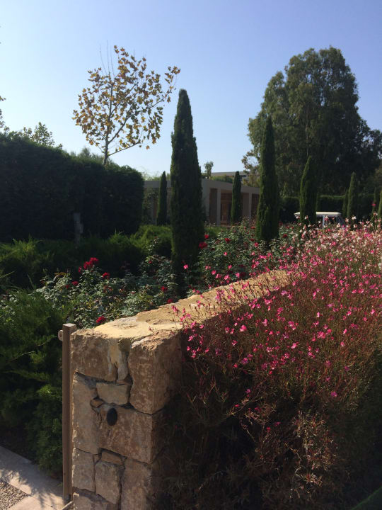 Garten Porto Sani