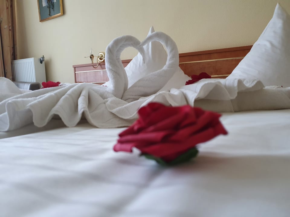 Zimmer Moselstern Hotel Brixiade & Triton