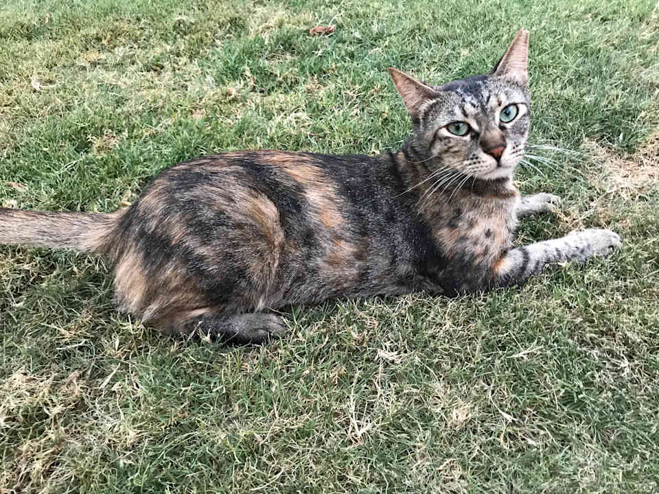 Sonstiges Pickalbatros Alf Leila Wa Leila Resort - Neverland Hurghada