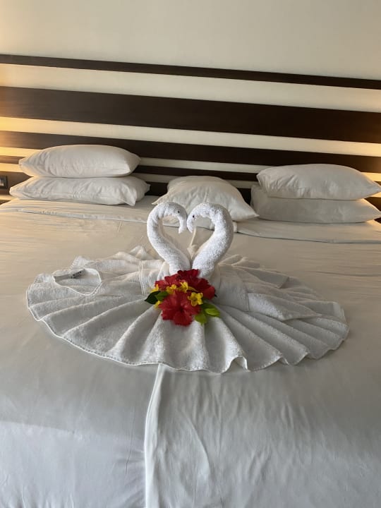 Zimmer Club Hotel Dolphin