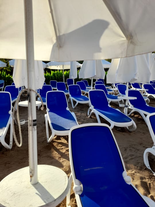 Strand Can Garden Beach