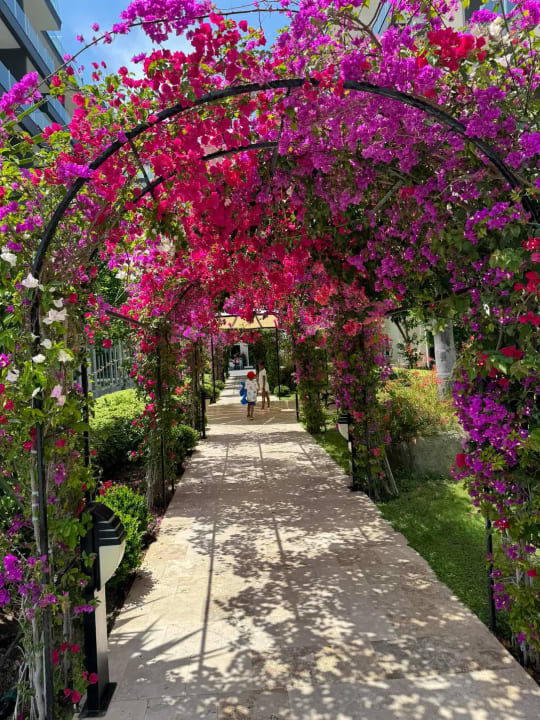 Gartenanlage Hotel Grand Ring