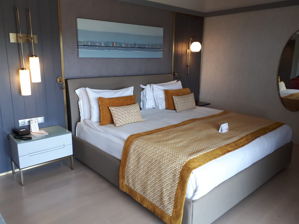 Zimmer Arum Barut Collection