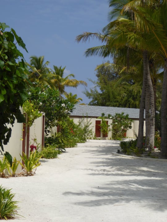 Eingangsseite zu den Beach-Bungis Centara Ras Fushi Resort & Spa Maldives