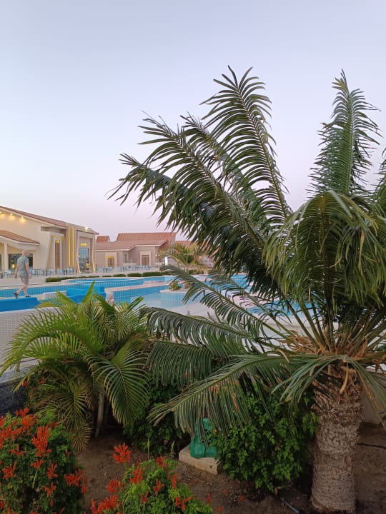 Pool Pickalbatros Sea World Resort - Marsa Alam