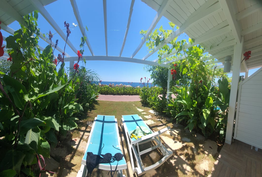 Gartenanlage Gold Island Selected