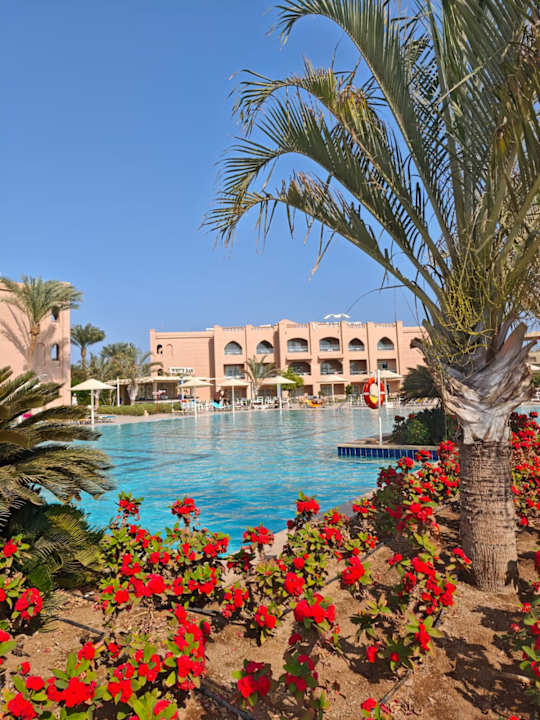 Ausblick Pickalbatros Aqua Park Resort - Hurghada