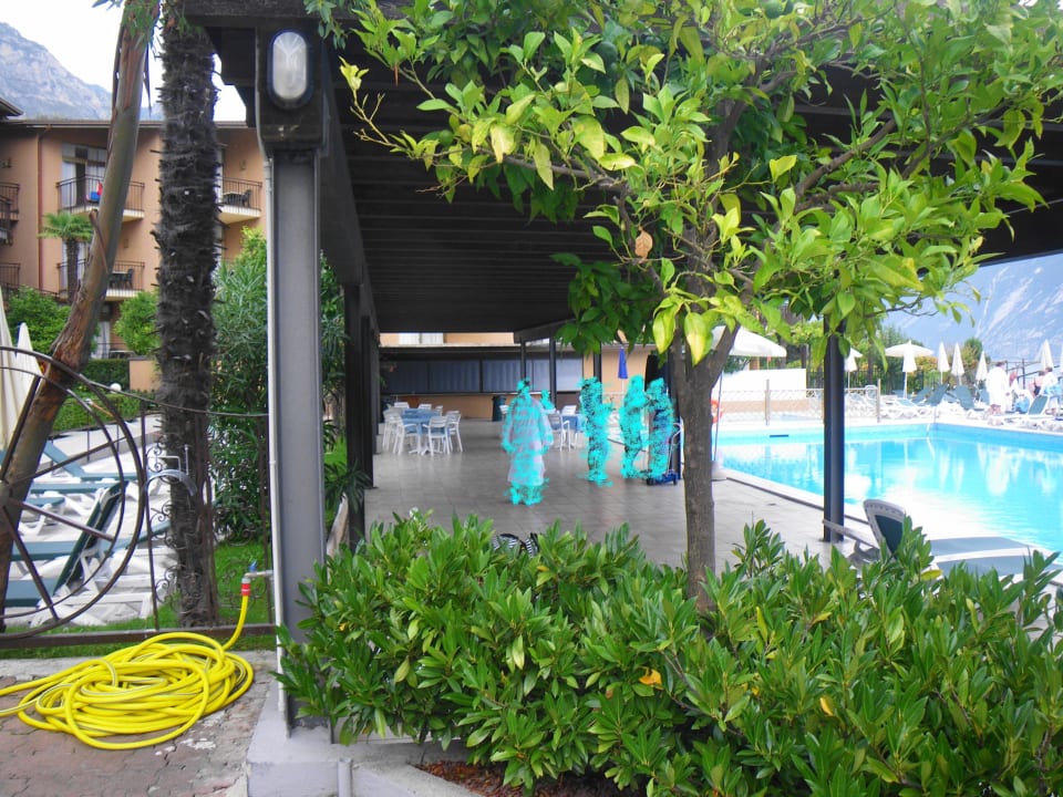 Kein Essen oder Getränke Leonardo da Vinci