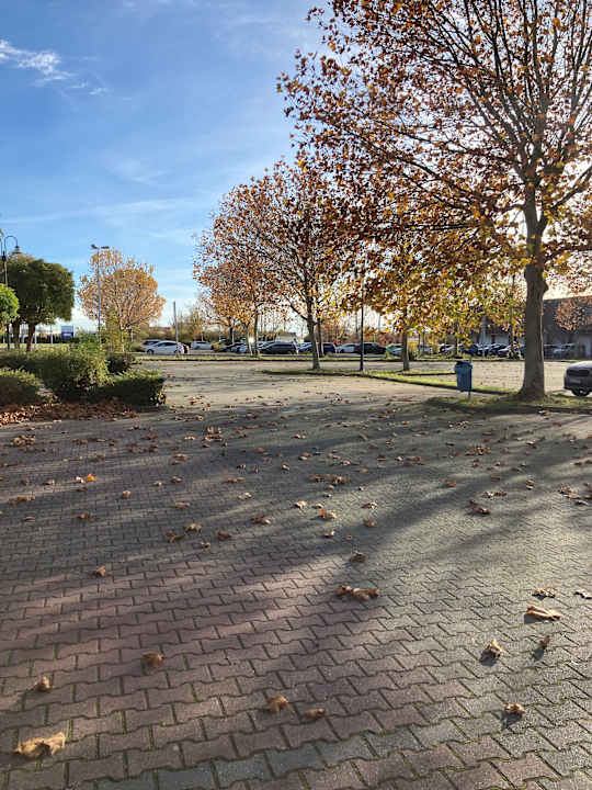 Außenansicht Best Western Parkhotel Brehna - Halle