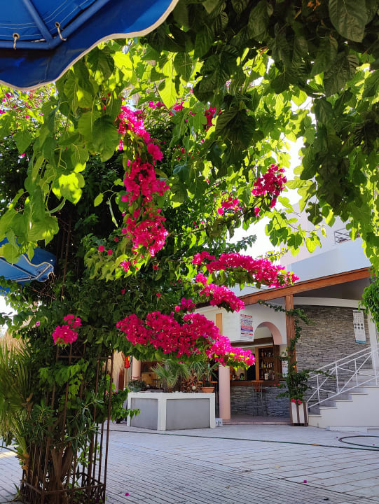 Gartenanlage Hotel Faliraki Bay