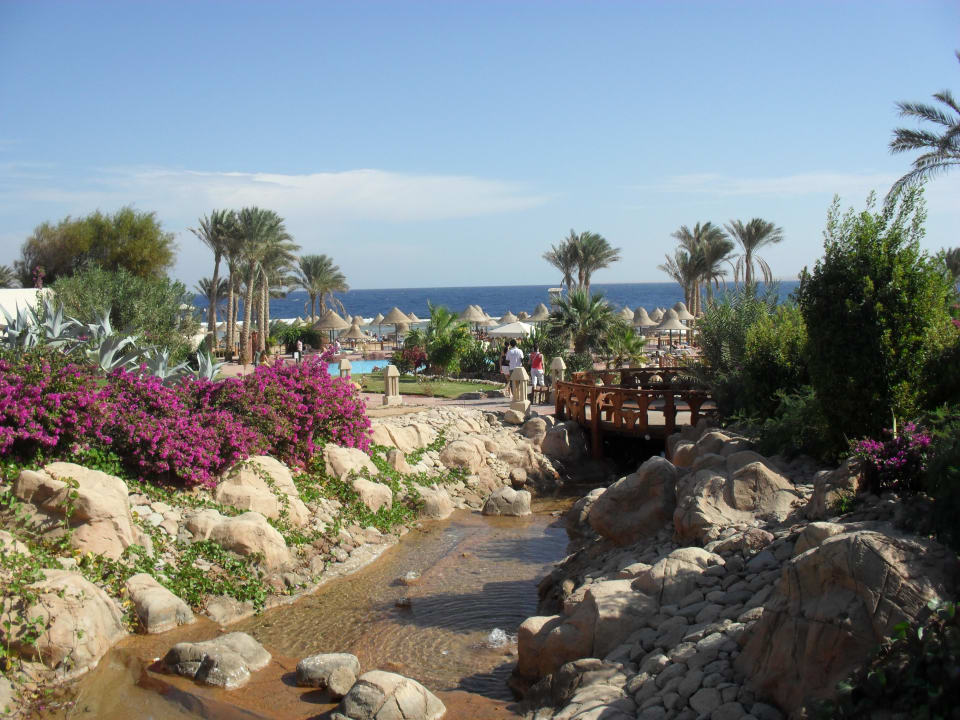 Ogród Parrotel Beach Resort